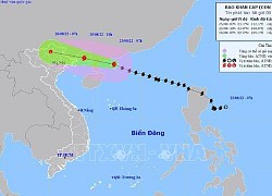 Hoàn lưu bão số 3 gây mưa lớn, nguy cơ lũ quét, sạt lở đất tại Bắc Bộ