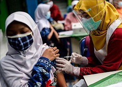 Indonesia sắp đưa vào sử dụng hai vaccine nội địa ngừa COVID-19