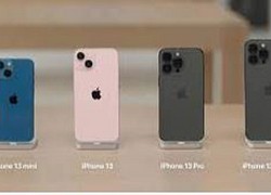 Mạnh tay giảm giá iPhone, Apple thắng lớn tại Việt Nam