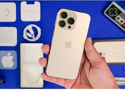 Mẫu iPhone nào phù hợp với bạn nhất?