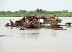 Pakistan: Lũ lụt khiến hơn 800 người thiệt mạng, phá huỷ gần hàng chục nghìn ngôi nhà