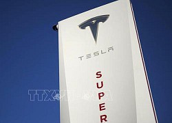 Rắc rối pháp lý &#039;bủa vây&#039; hãng xe điện Tesla của tỷ phú công nghệ Elon Musk