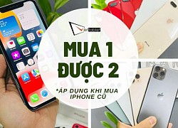 Ưu đãi 2/9: iPhone 11 còn 7,7 triệu, 12 Pro Max 17,8 triệu, iPad Gen 9, Pro M1 2021 giảm sốc