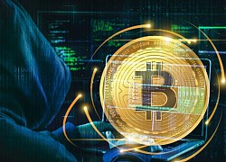 Cuộc chiến 'cân não' đoạt lại 3,6 tỷ USD Bitcoin mất cắp