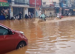 Đi tìm nghịch lý Đà Lạt thành 'sông': Thiên tai có, nhưng 'nhân tai' mới là nguyên nhân chủ chốt