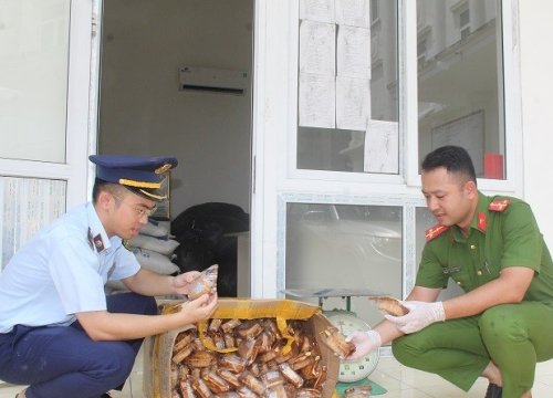 Ém hàng trăm hộp bánh trung thu cùng bì lợn, gà đông lạnh