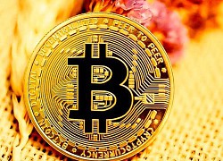 Giá Bitcoin hôm nay 1/9: Giảm nhẹ nhưng vẫn chưa mất mốc 20.000 USD