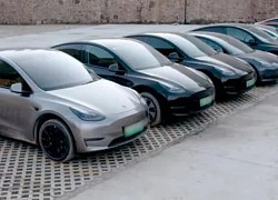 Hành trình từ làng quê nghèo miền núi Trung Quốc thành 'ngôi làng Tesla'