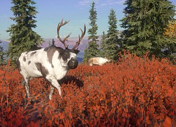 TheHunter: Call Of The Wild [40 GB]