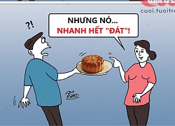 Tình cảm như chiếc bánh trung thu nhân thập cẩm