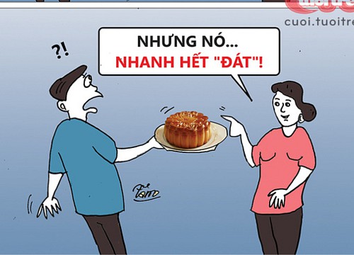 Tình cảm như chiếc bánh trung thu nhân thập cẩm