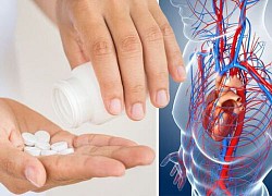 4 điều cần biết khi sử dụng thuốc statin hạ mỡ máu