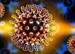 Ai dễ nhiễm virus Adeno?