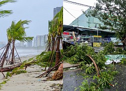 Ảnh: Cây bật gốc la liệt, tôn bay khắp phố Đà Nẵng sau khi bão Noru quét qua