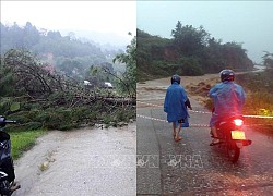 Bão Noru: Nhiều xã ở Kon Tum mất điện