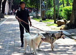 Bộ Y tế cảnh báo nguy cơ bùng phát bệnh dại