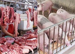 Giá heo hơi hôm nay 30/9: Tiếp tục đà giảm 1.000 - 4.000 đồng/kg