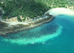 Hội nghị UNESCO thảo luận về các mối đe dọa đối với di sản văn hóa