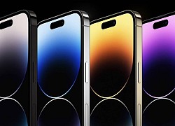 iPhone 14 Pro Max soán ngôi đầu bảng về chiếc smartphone có màn hình tốt nhất trên DxOMark