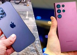 Ngâm nước iPhone 14 Pro Max và S22 Ultra trong 10 tiếng, liệu thiết bị nào sống sót bền hơn?