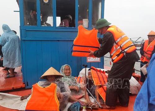 Kinh nghiệm phòng tránh bão ở xã đảo Tam Hải