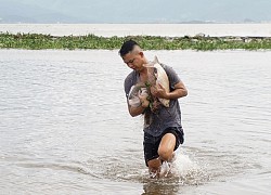 Nghề độc chỉ có sau bão ở Đà Nẵng: Ra biển "săn" cá nước ngọt "khủng"