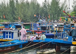 Siêu bão Noru cận kề, 60 ngư dân Đà Nẵng không chịu lên bờ