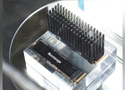 Xuất hiện chiếc SSD tới từ Nhật Bản có tốc độ 10GB/s cùng dàn tản nhiệt to như cái bàn chải