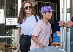 Angelina Jolie xinh đẹp đi sắm đồ cho thú cưng cùng con trai