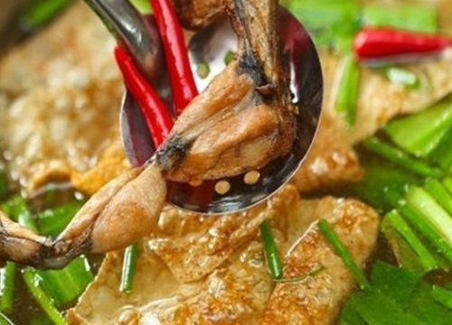 Cách nấu lẩu ếch măng chua đậm đà hấp dẫn