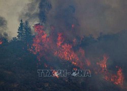 Hàng nghìn người phải sơ tán do cháy rừng ở bang California