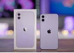 iPhone 11, iPhone 12 giảm giá xuống mức thấp nhất tại Việt Nam