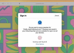 MacOS 13 sẽ có thêm tính năng gì?