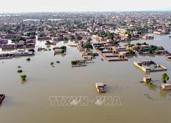 Mưa lũ nghiêm trọng tiếp tục hoành hành tại Pakistan