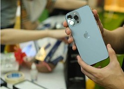 Người Việt luôn thích iPhone to nhất