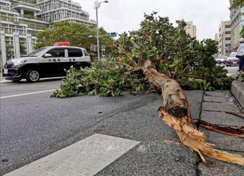 Nhật Bản, Hàn Quốc khẩn trương ứng phó với bão Hinnamnor