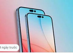 Chuyên gia công nghệ: Apple sẽ có thay đổi lớn ở màn hình iPhone 14 Pro