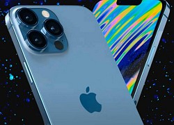 Apple giảm giá iPhone đời cũ, bỏ iPhone 13 Pro và iPhone 11