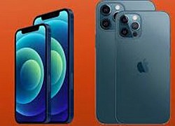 Apple ngừng bán iPhone 11, 12 Mini, 13 Pro và 13 Pro Max