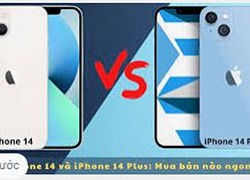 Apple ra mắt iPhone 14 và iPhone 14 Plus giá từ 799 USD, bán ra 16/9