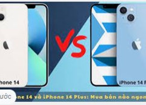 Apple ra mắt iPhone 14 và iPhone 14 Plus giá từ 799 USD, bán ra 16/9