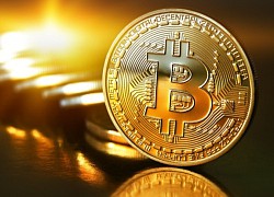 Giá Bitcoin hôm nay 7/9: Nhích tăng nhẹ, có vượt ngưỡng 20.000 USD?