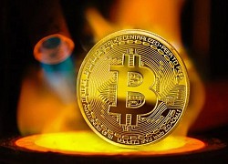 Giá Bitcoin hôm nay 8/9: Bitcoin lao dốc, thị trường đỏ lửa