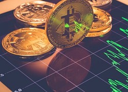 Giá Bitcoin hôm nay 9/9: Bitcoin bật tăng sau khi rơi tự do