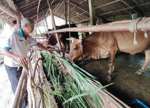 Hiện thực ước mơ thoát nghèo ở nơi đặc biệt khó khăn