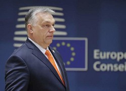 Hungary đề nghị EU nới lỏng một số lệnh trừng phạt Nga