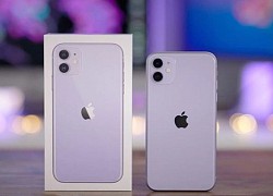 Loạt iPhone vừa bị Apple "khai tử" và giá bán mới nhất tại Việt Nam