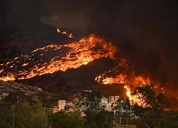 Mỹ: Cháy rừng lan nhanh tại bang California, 2.500 cơ sở hạ tầng bị đe doạ