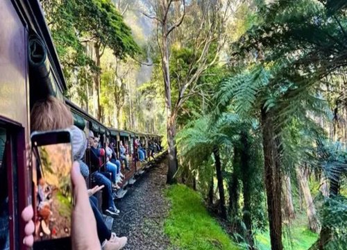 Puffing Billy Railway Tàu lửa hơi nước trăm năm tuổi đáng đi nhất thế giới