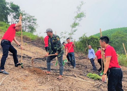 SEABank trao tặng gần 154.000 cây xanh ủng hộ trồng rừng và phát triển kinh tế tại Hà Tĩnh